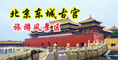 小马的肉棒绞大屄稀缺中国北京-东城古宫旅游风景区